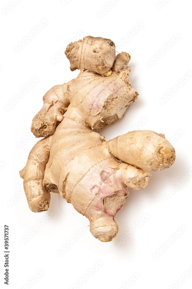 Root Ginger isolated on a white studio background. Root Ginger isolated on a white studio background.