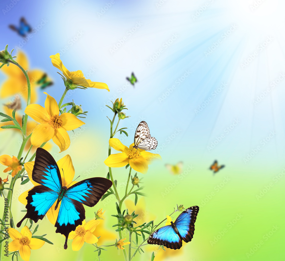 Obraz premium Spring flowers with butterflies