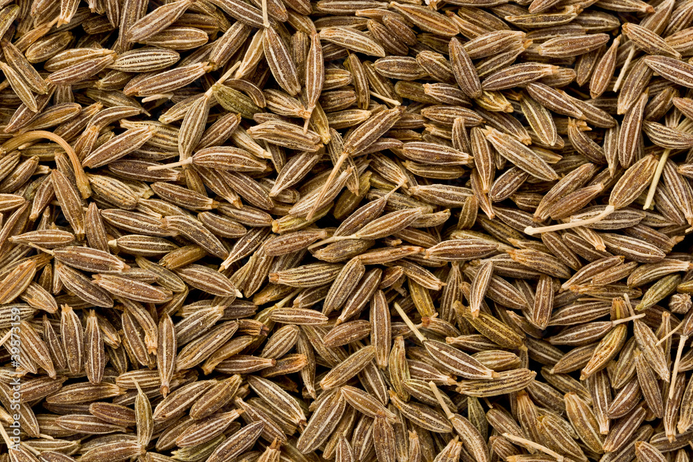 Cumin Seeds (Cuminum cyminum) Cumin Seeds (Cuminum cyminum)