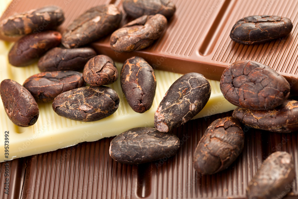 various chocolate bars with cocoa beans various chocolate bars with cocoa beans