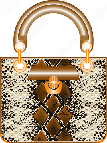 A luxury leather lady handbag