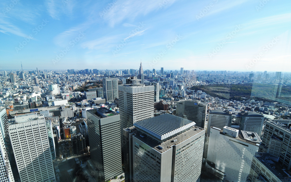 Naklejka premium Tokyo panorama