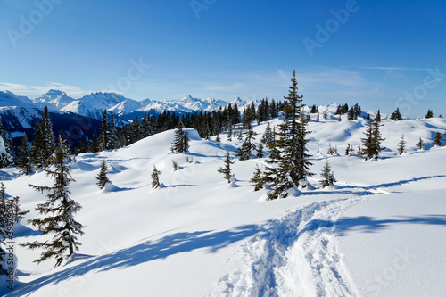 Winter in den Alpen