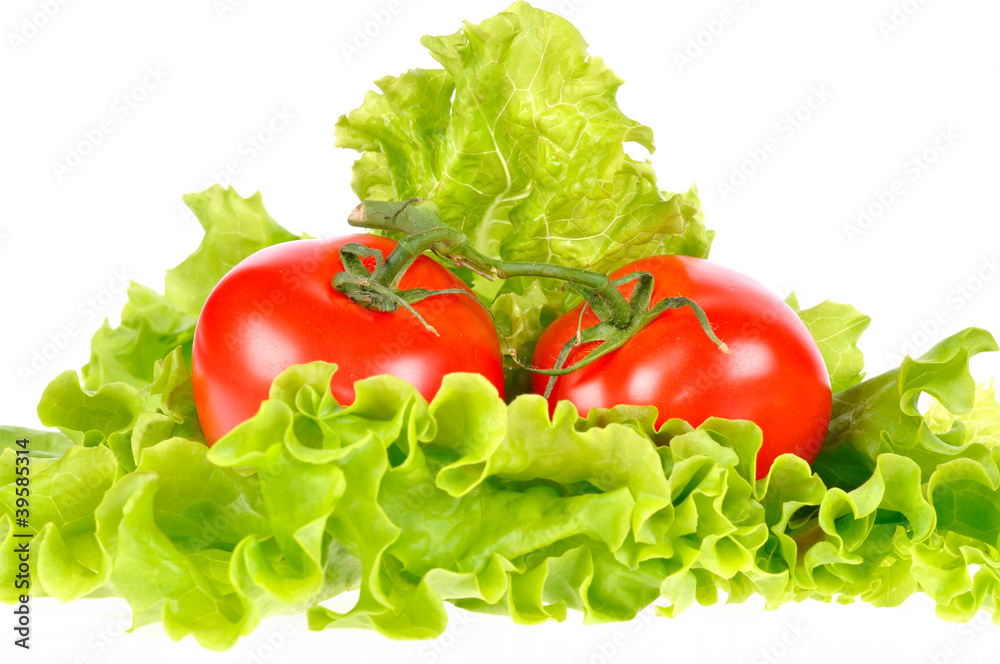 Tomato and salad leaf isolated on white background Tomato and salad leaf isolated on white background