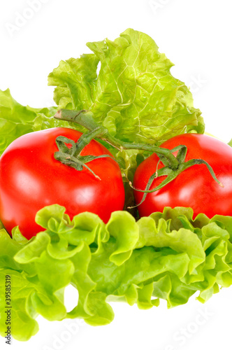 Tomato and salad leaf isolated on white background