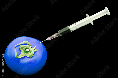 Canvas Print Blue tomato with syringe - food safety concept