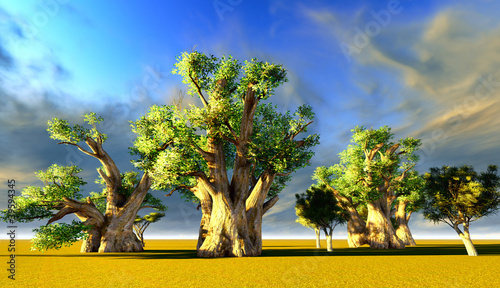 Schilderij op canvas African baobabs