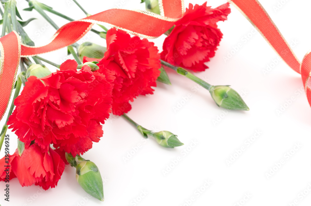 赤いカーネーションの花とリボン
