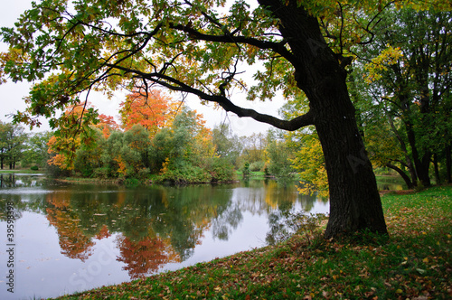 Golden autumn in Saint-Petersburg