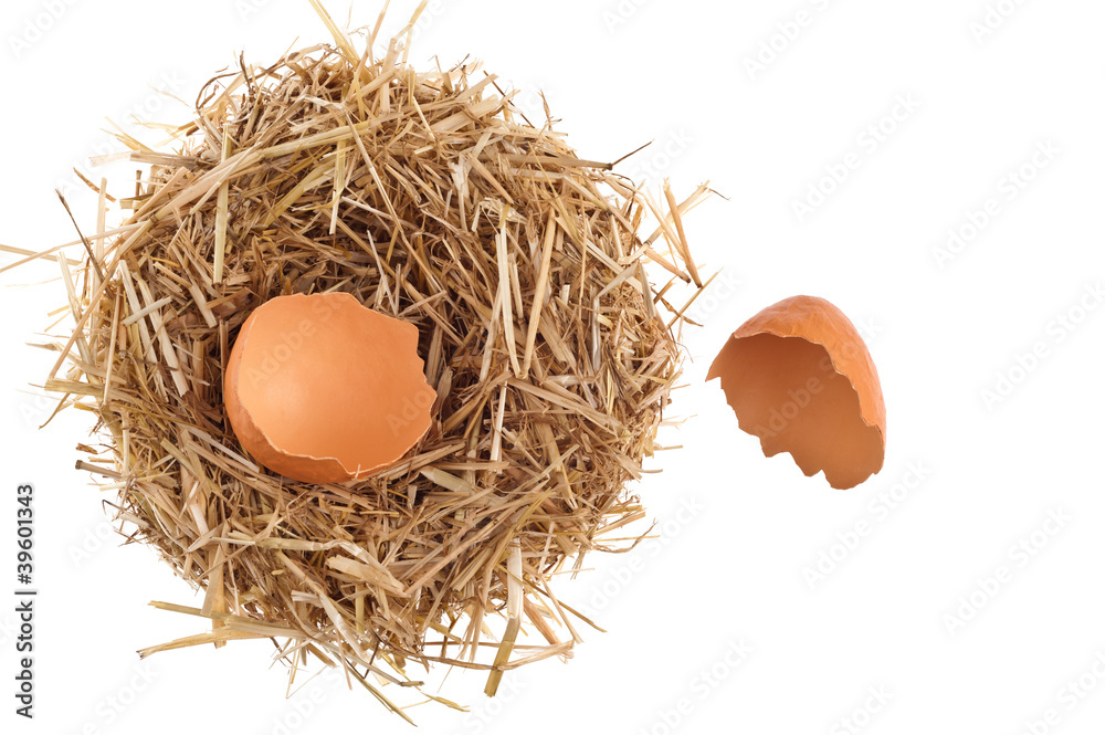 Straw nest with broken chicken eggshell Straw nest with broken chicken eggshell