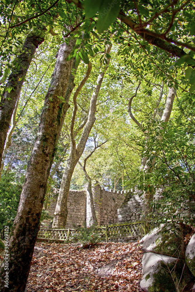 Walls of the medieval castle in Sintra / Castelo dos Mouros