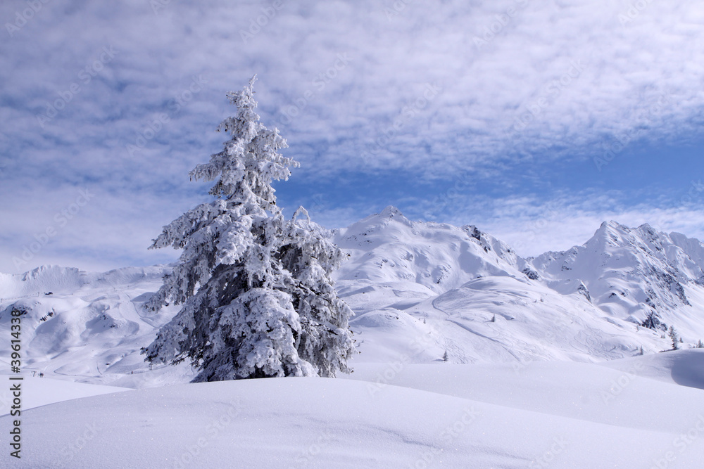 Winterlandschaft Winterlandschaft