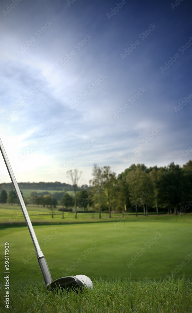 Obraz premium chipping a golf ball onto the green