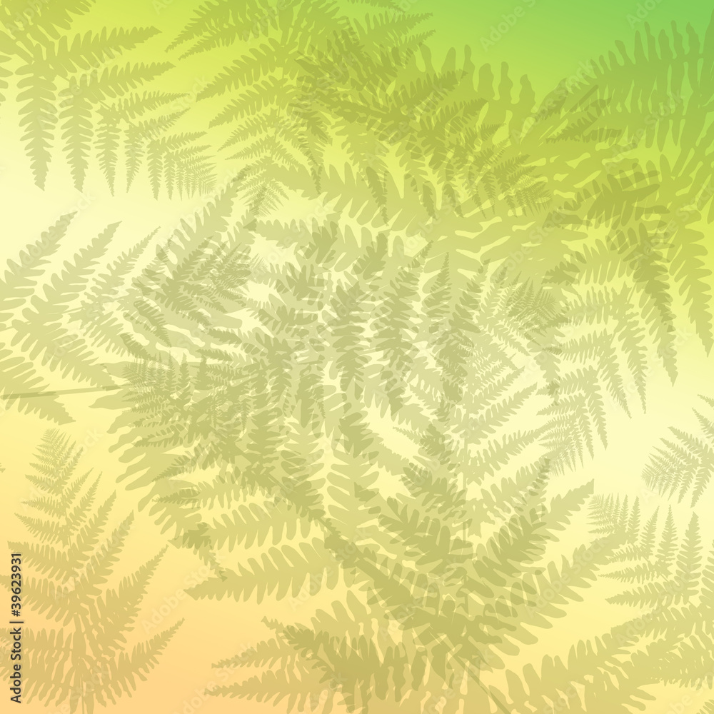 Abstract fern background.