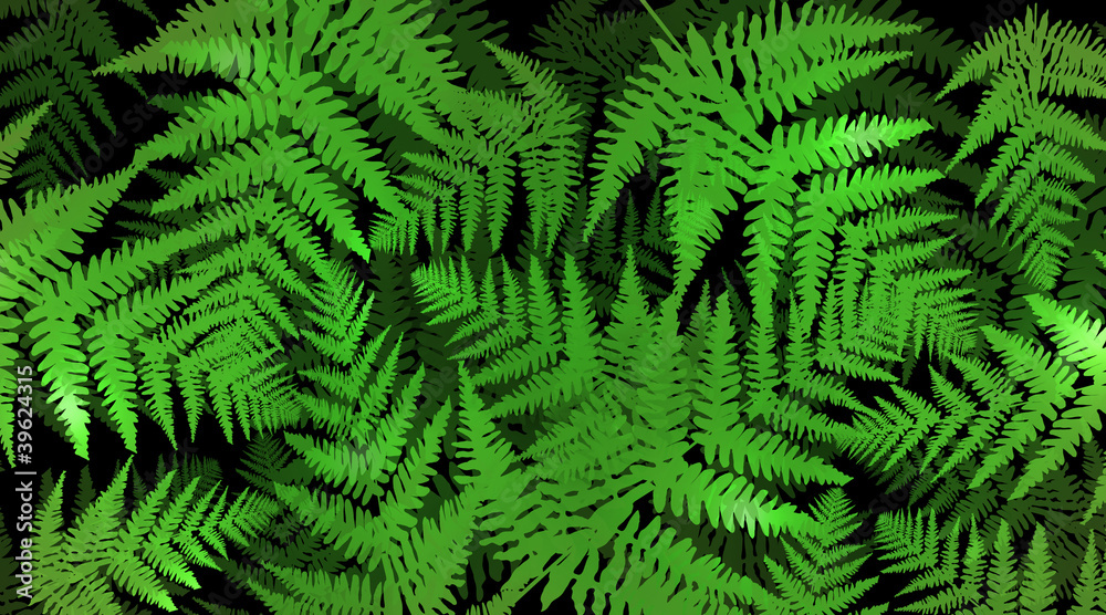Green fern background.