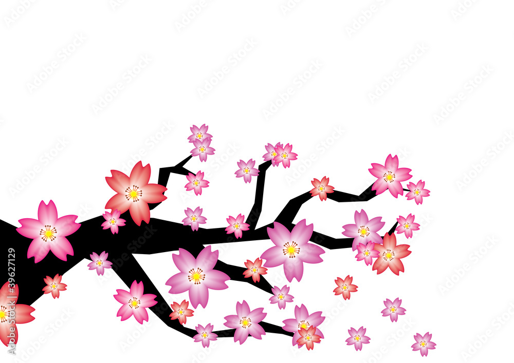 Sakura Branch