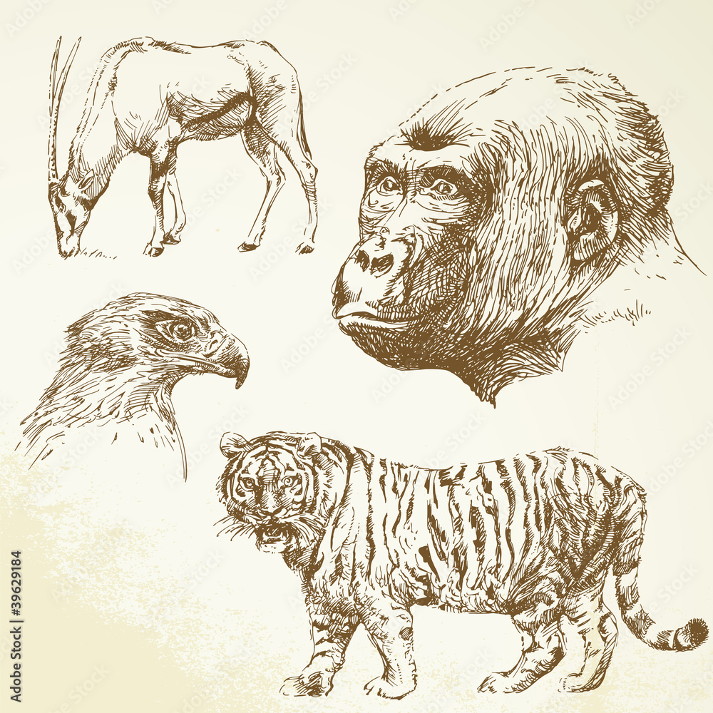 Obraz premium wild animals