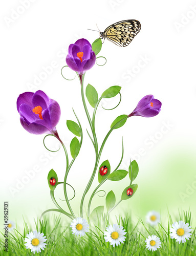 Beautiful floral design