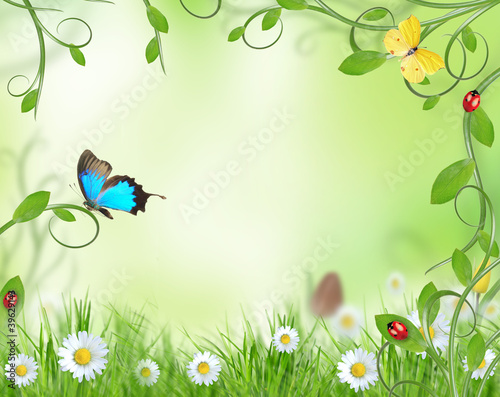 Fototapeta Naklejka Na Ścianę i Meble -  Beautiful spring background