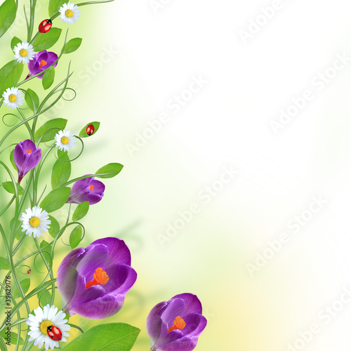 Beautiful floral design