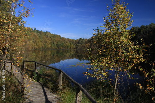 Herbst am See photo