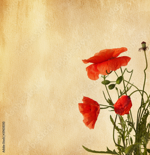 paper texture with poppies