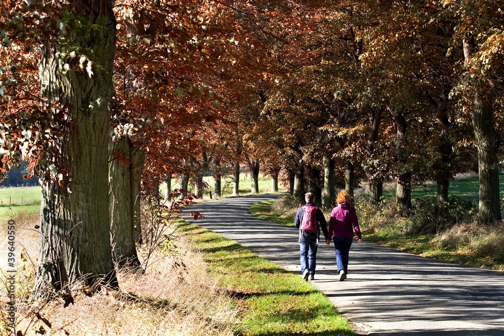 Promeneurs en automne Promeneurs en automne