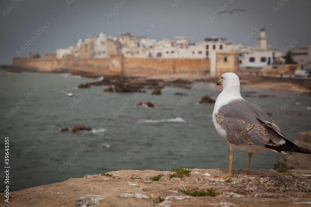 Essaouira, old Portuguese city in Morocco (13) Essaouira, old Portuguese city in Morocco (13)