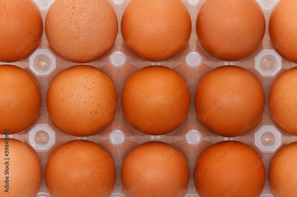Eggs in box Eggs in box