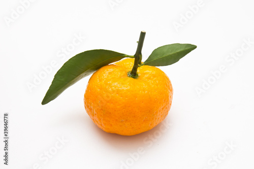 orange on a white background