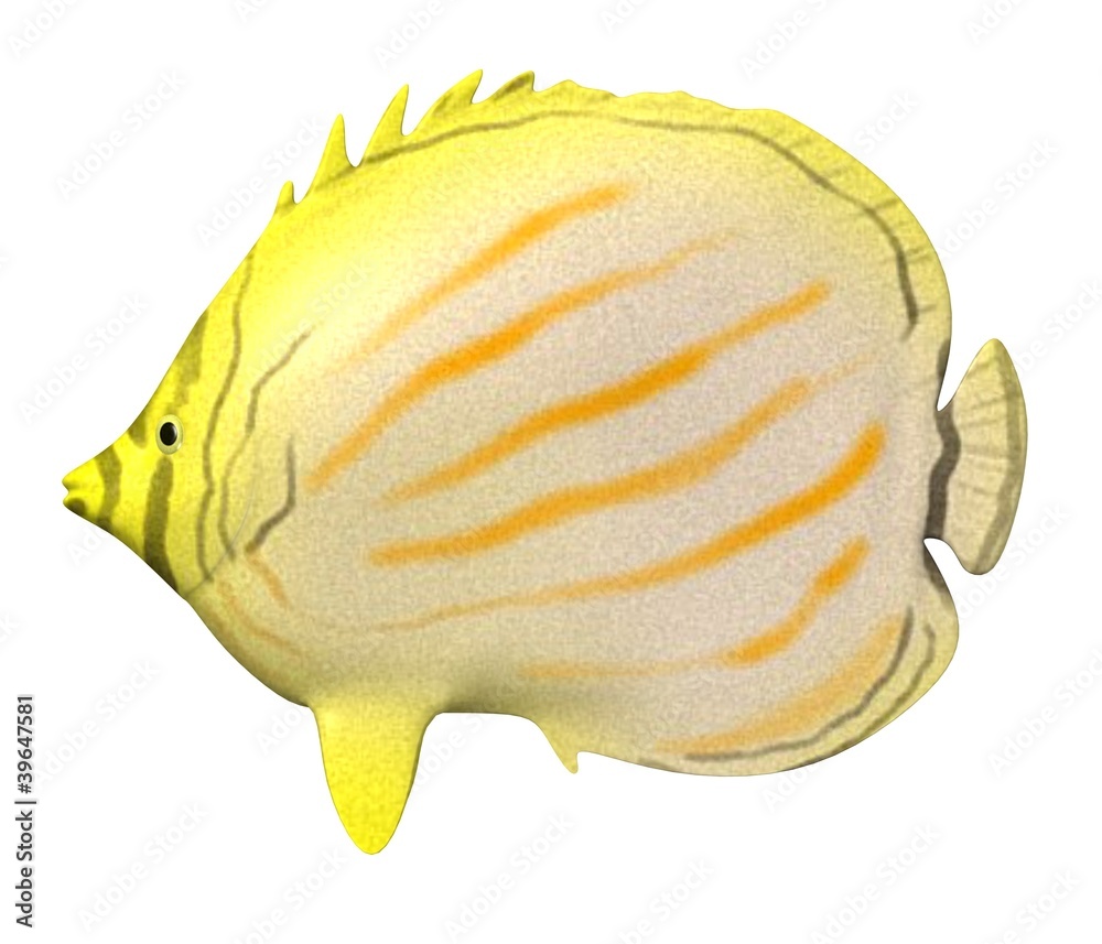 3d render of tropical fish 3d render of tropical fish
