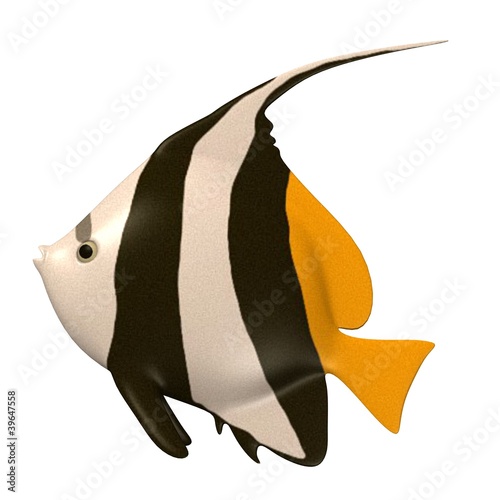 3d render of tropical fish photo