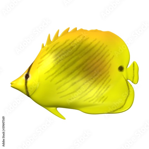 3d render of tropical fish