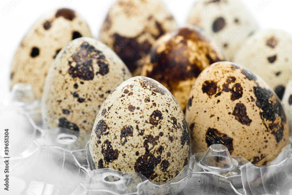 Obraz premium Quail's Eggs