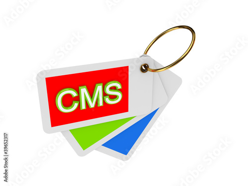 Colorful tags and word CMS.