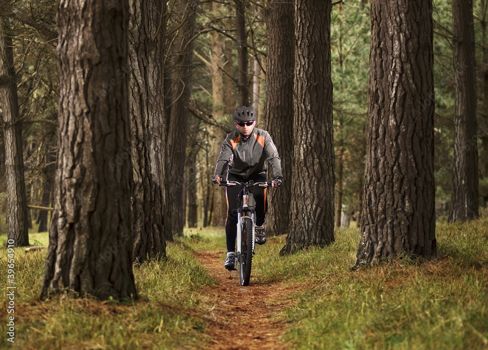 Man practicing mountain biking in the forest