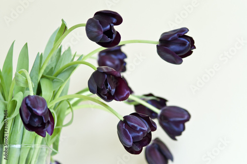 Букет черных тюльпанов в вазе
