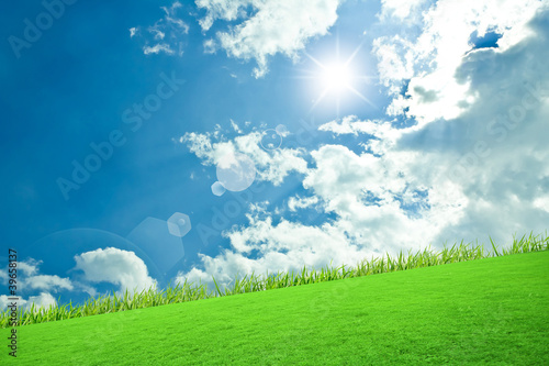 The grass with a blue sky