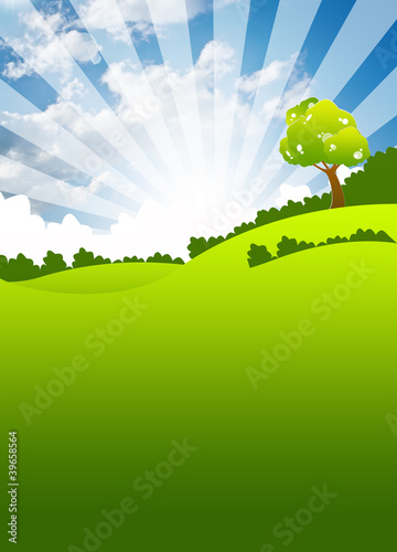 the grass with a blue sky