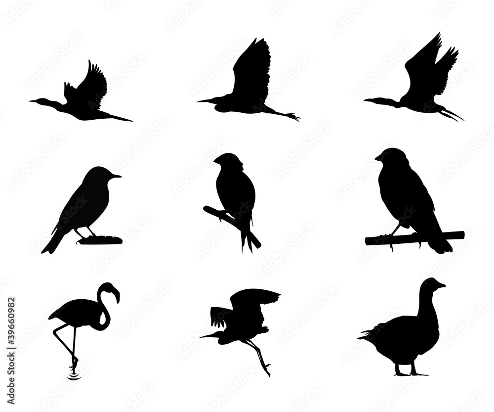 Bird silhouettes Bird silhouettes