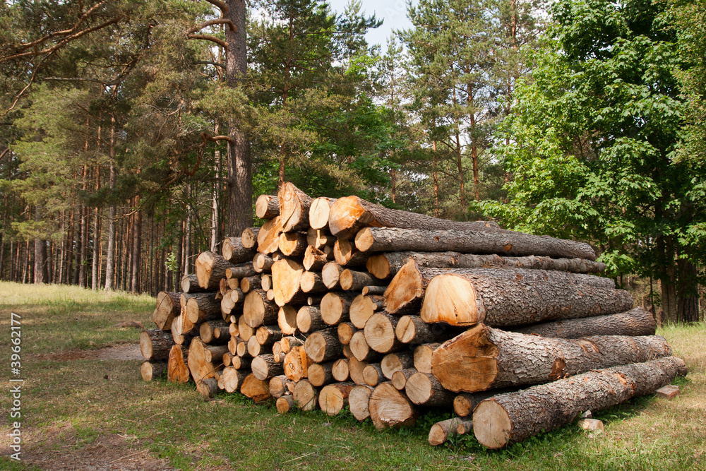 log stack