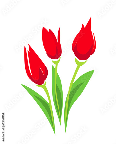 Fototapeta Naklejka Na Ścianę i Meble -  Tulip stylized vector illustration. isolated symbol