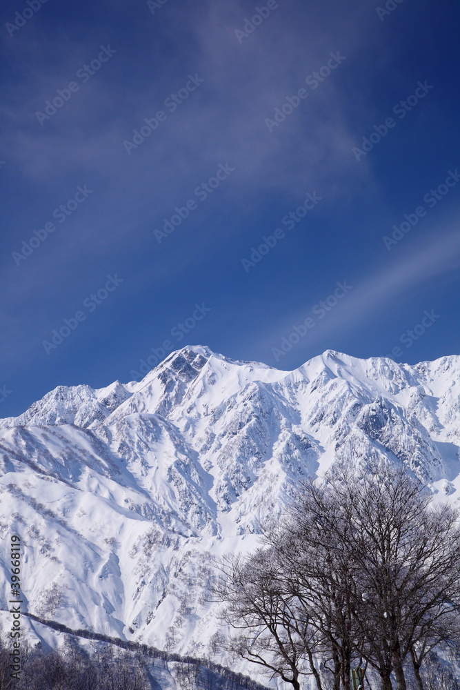 Mt. Goryudake, Nagano Japan
