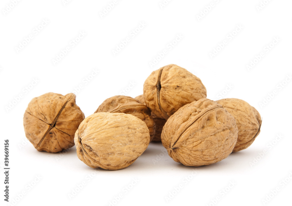 Walnut Walnut