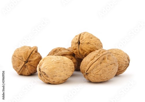 Walnut