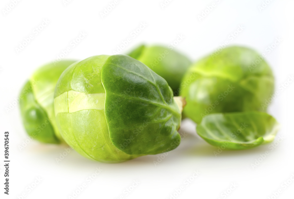 cabbage cabbage