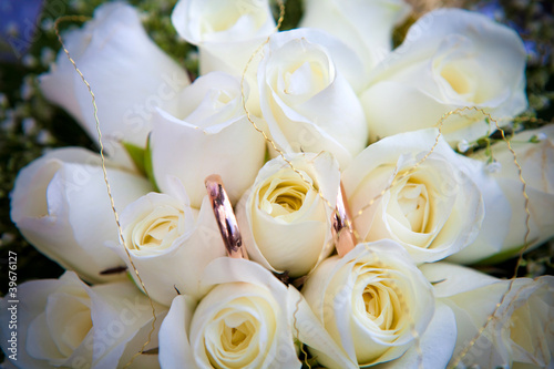 wedding rings on flowers.