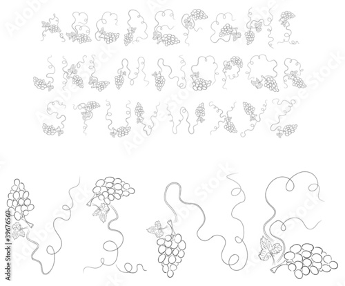 Vector black contour vine alphabet on a white background