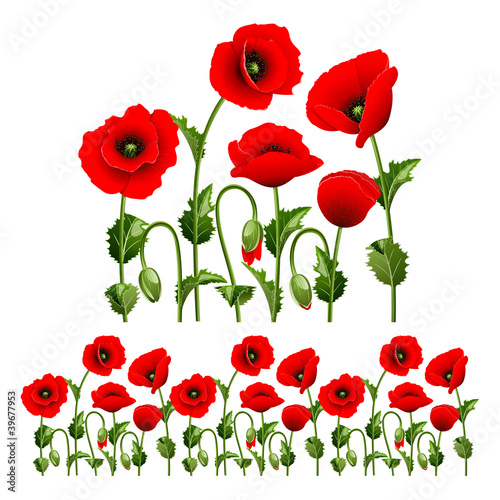 Fototapeta Naklejka Na Ścianę i Meble -  Border from poppies.