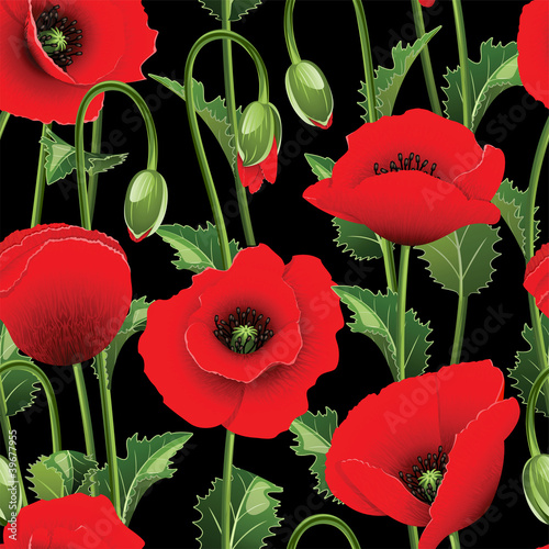 Fototapeta Naklejka Na Ścianę i Meble -  Seamless from poppies.